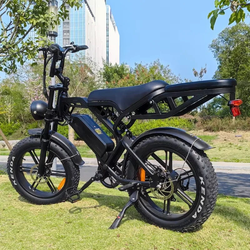 TAMOBYKE V20 Standard Electric Bike - Enterprise Express