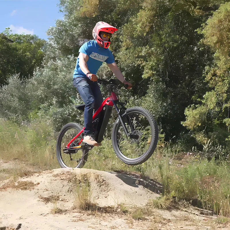 PULUMA PH001 Luxury Electric Bike - Enterprise Express