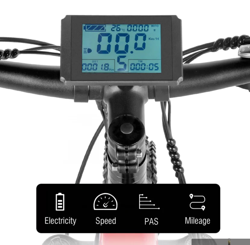 PULUMA PH001 Luxury Electric Bike - Enterprise Express