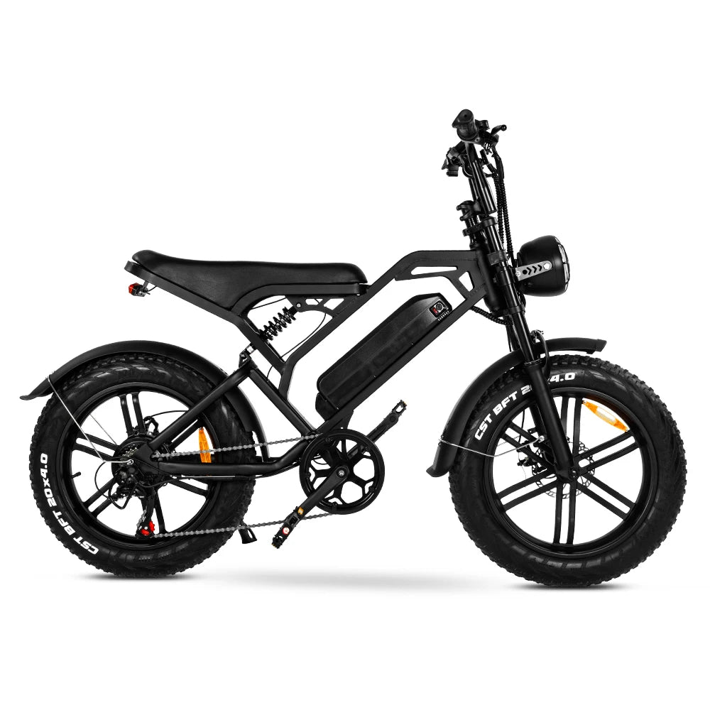 TAMOBYKE V20 Standard Electric Bike - Enterprise Express