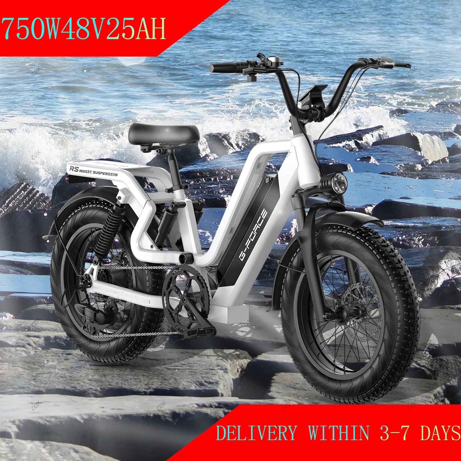 G-FORCE RS ST Standard Electric Bike - Enterprise Express
