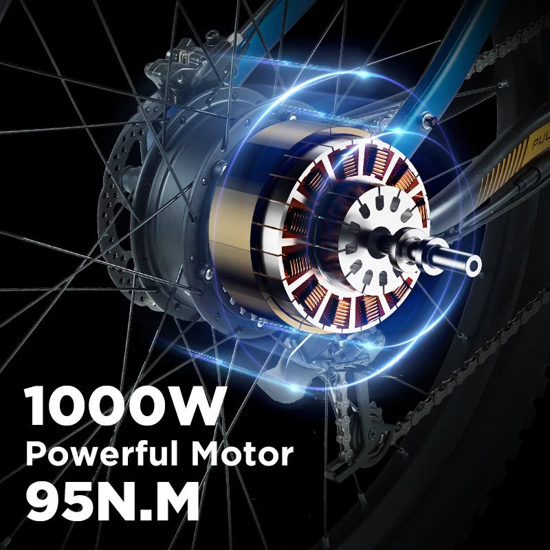 PULUMA PU01 Luxury Electric Bike - Enterprise Express