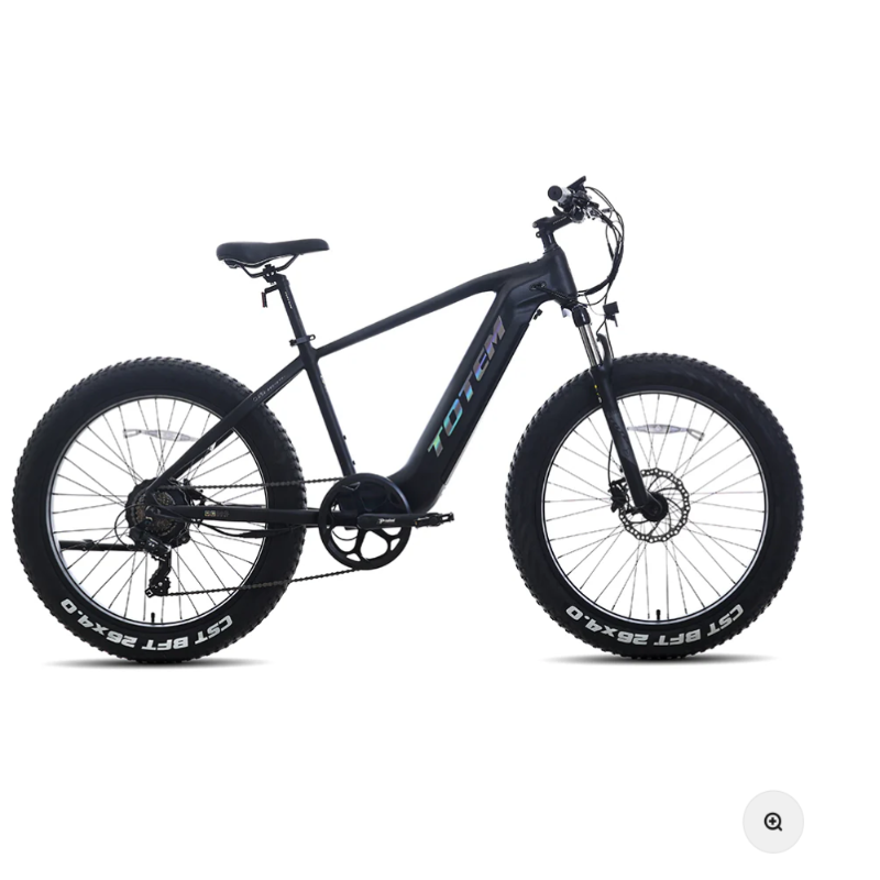 TOTEM Bulldog 750W Adults Electric Bike - Enterprise Express