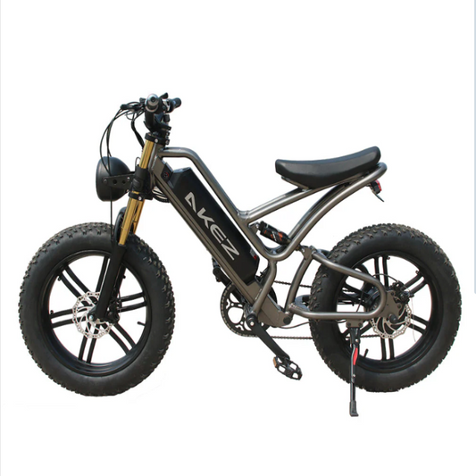 AKEZ Luxury Electric Bike - Enterprise Express